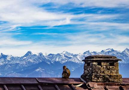 Dalhousie Wildlife & Nature Retreat from Chandigarh