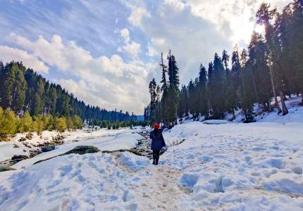 Srinagar Gulmarg Travel Packages