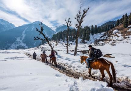 Kashmir