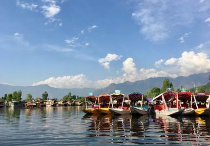 Kashmir