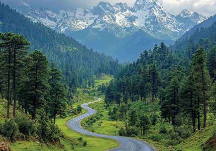 Dalhousie Wildlife & Nature Retreat from Chandigarh