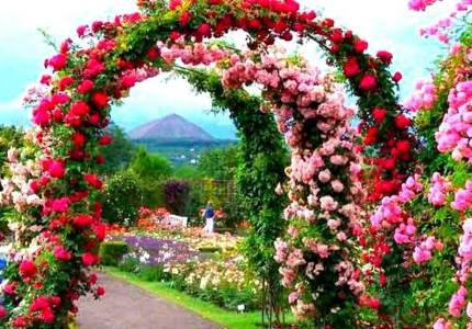 Shimla Sightseeing Tours