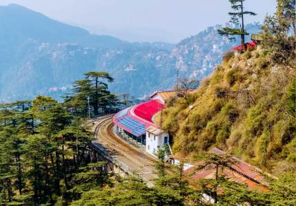 Shimla