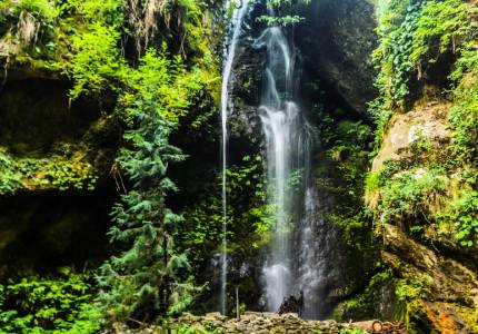 Himachal Complete Tour Packages