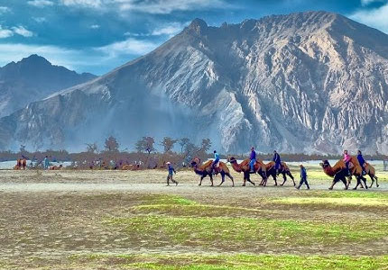 Ladakh: Mountains & Memories Tour