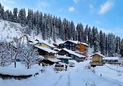 Manali Mountain Getaway from Chandigarh