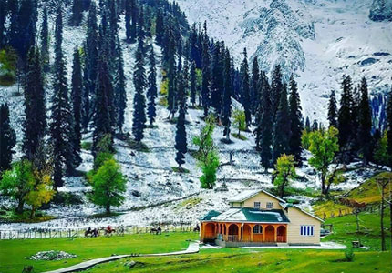 Srinagar Gulmarg Travel Packages